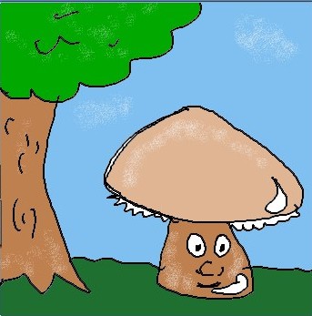 Champignon1