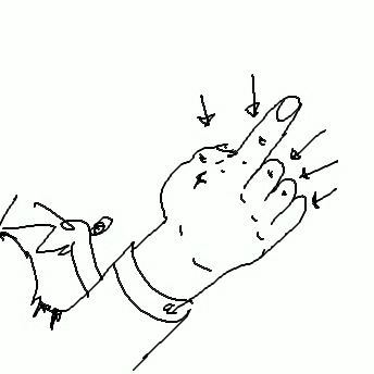 Finger