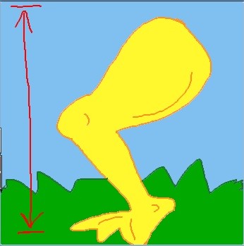 Großer Gelbschenkel