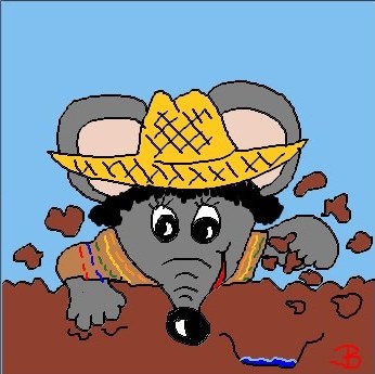 Mexikanische Wühlmaus