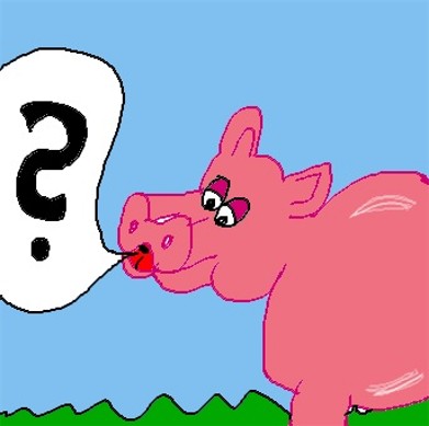 Oink