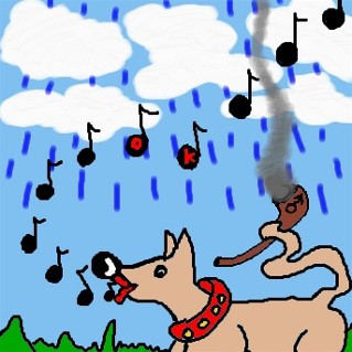 Regenpfeifer