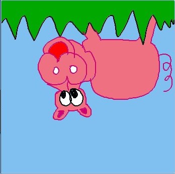 Schwein