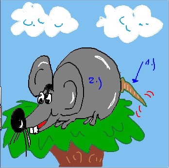Stachelmaus
