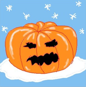 Winterkürbis