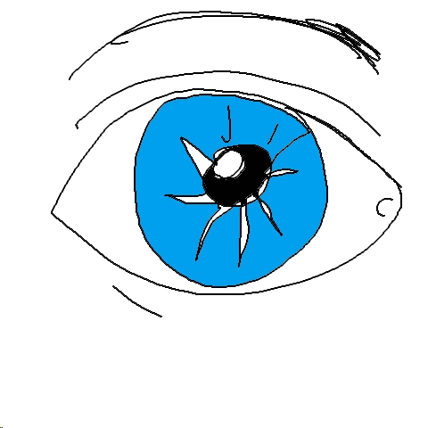 Auge