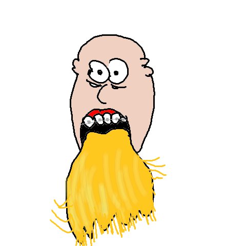 Haarspange