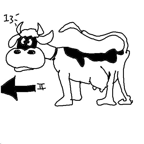 Kuli (2)