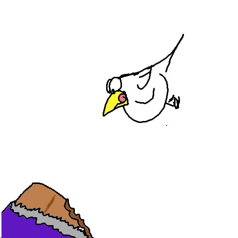 Vogelfutter (2)