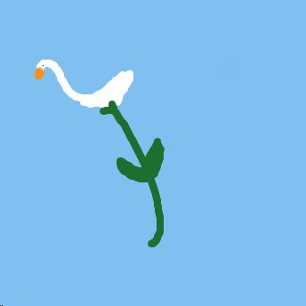 gänseblümchen