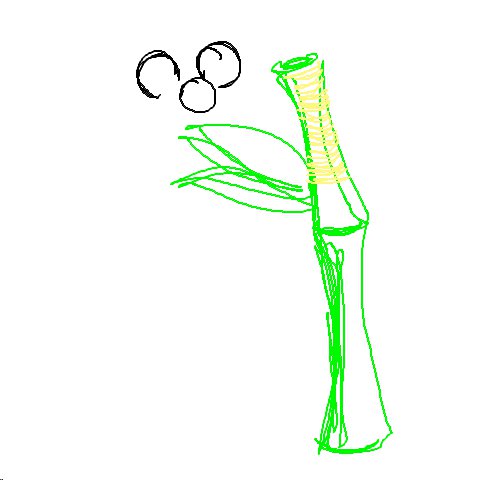 bamboo
