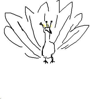 peacock