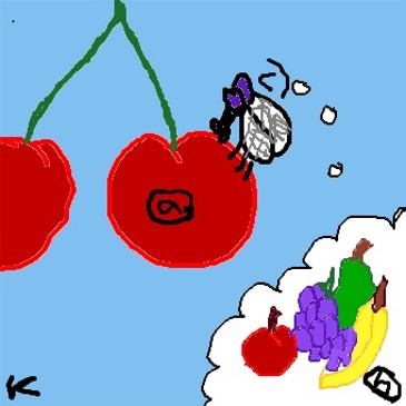 Kirschfruchtfliege