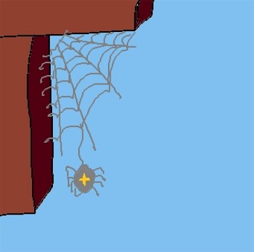 Netz