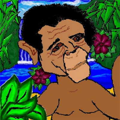 Jungle by Kana & Shadow