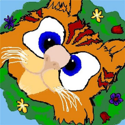 KÃ¤tzchen von Kana & Shadow