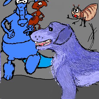 Ant, Aardvark and others by fella & calu