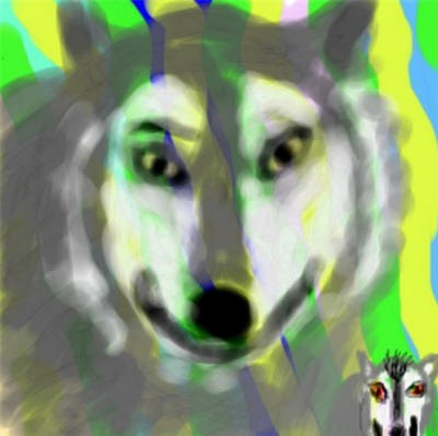 zwei Calus by mao & Calu