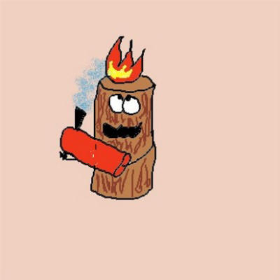 brennholz