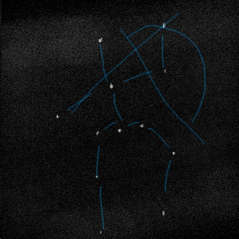 Constellation