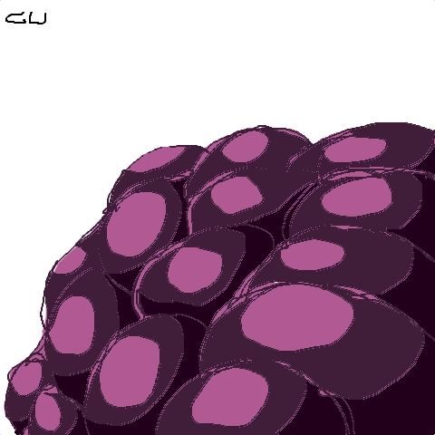berry (mish mash)