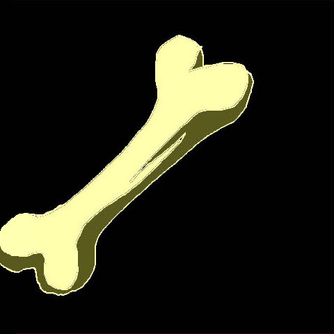 bone