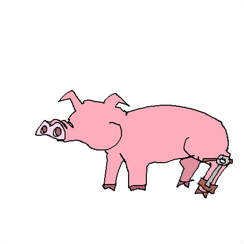 brace, pig