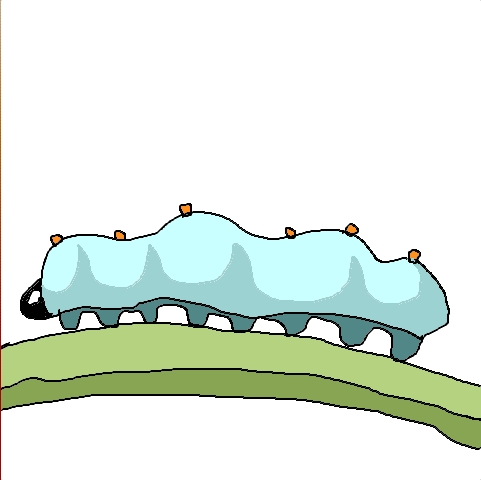 caterpillar