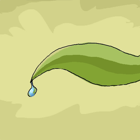 dewdrop