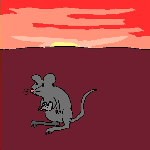 dusky marsupial mouse