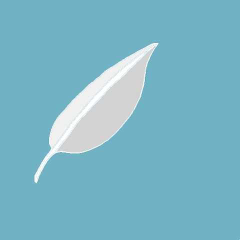 feather