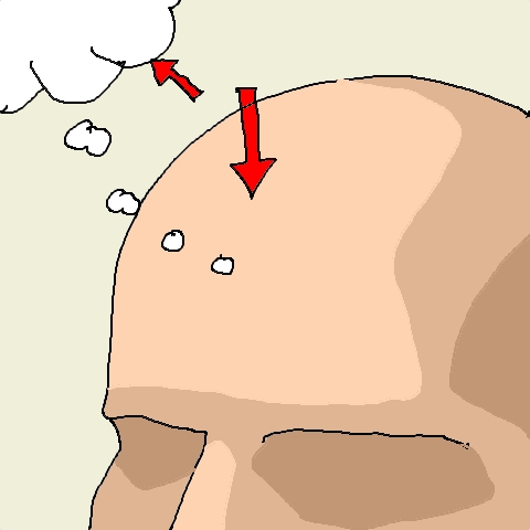 forehead, think
