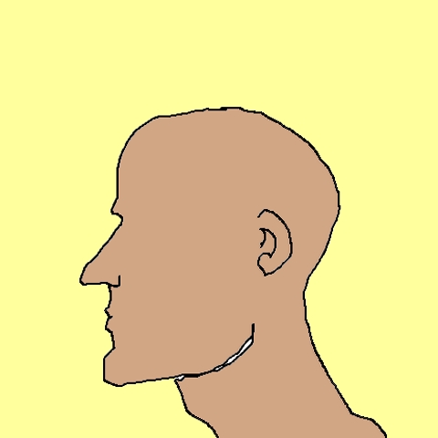 head