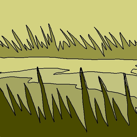 marsh