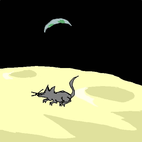 moon rat