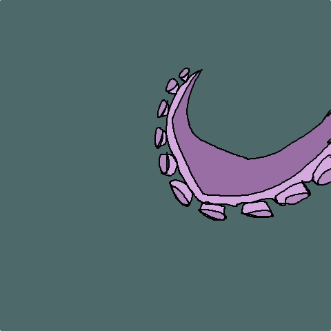 octopus