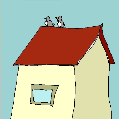pigeon