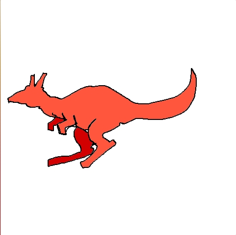 red kangaroo
