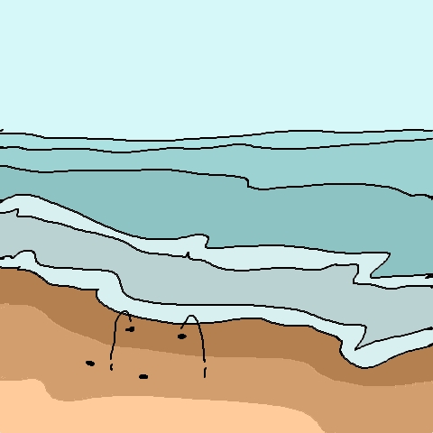 sand flea