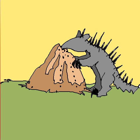spiny anteater