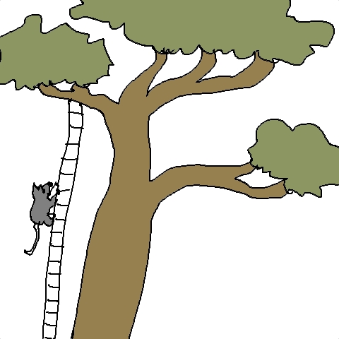 tree climbing rat