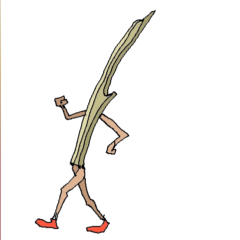 walking stick