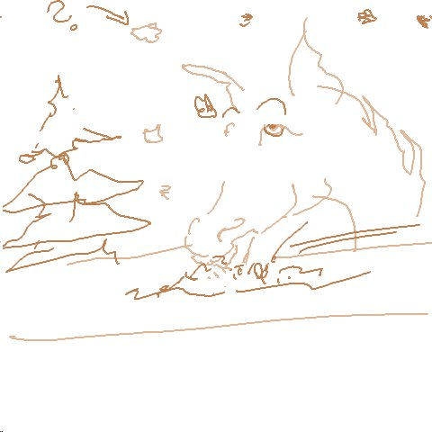 Haferflocken
