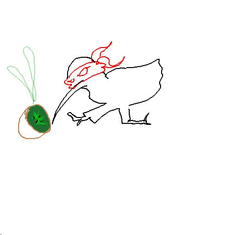 Kiwi