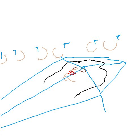 Sarg