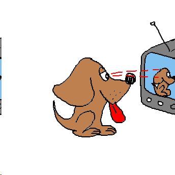 watchdog