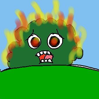 Buschfeuer
