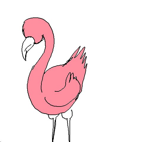 Flamingo