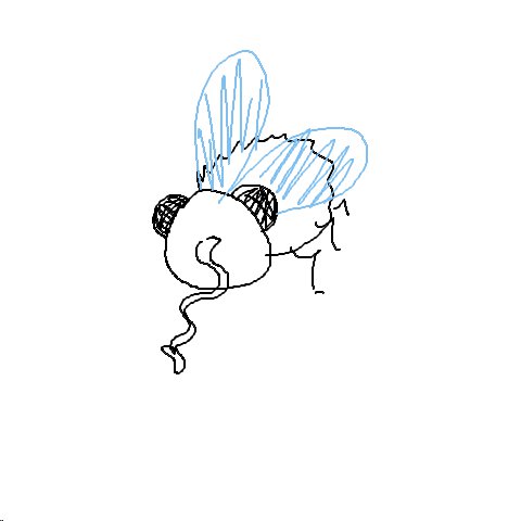 Fliege