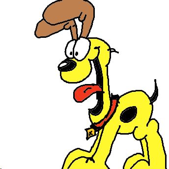 Hundehalsband
